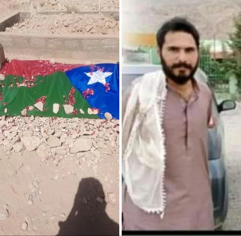 شہزاد بلوچ — image 2