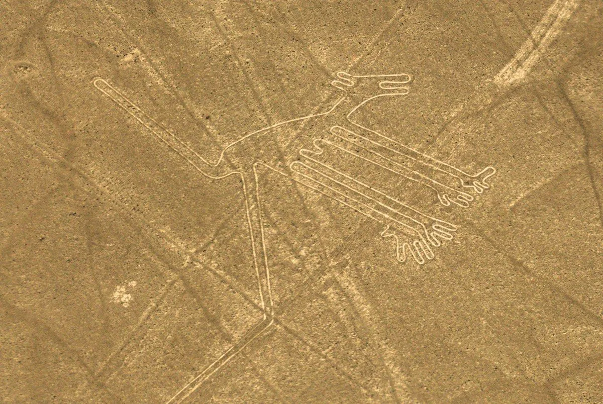 نازکا لائنز (Nazca Lines) — پراسرار زمینی نقش و نگار — تصویر 3