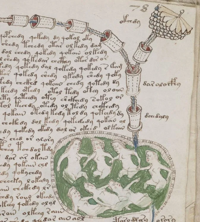 وائینچ مسودہ (Voynich Manuscript) — ایک ناقابلِ فہم کتاب — تصویر 2