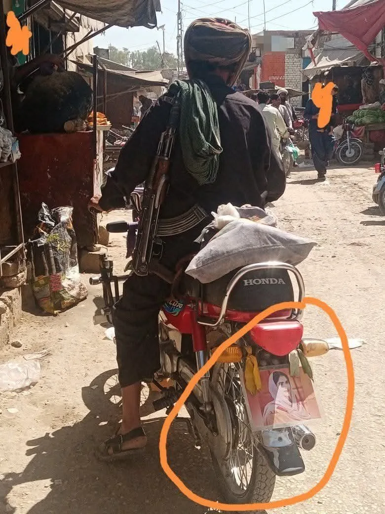 افغانستان کی دہشتگردوں کی سرپرستی